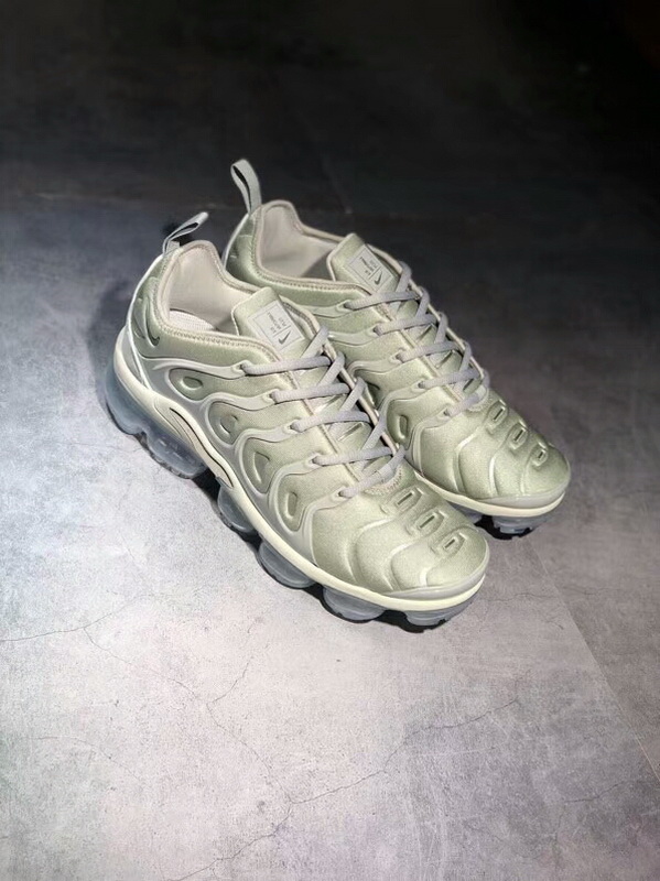 Authentic Nike Air Vapormax Plus silver gray 